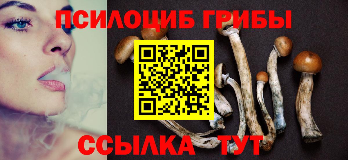 Галлюциногенные грибы ЛСД Калуга