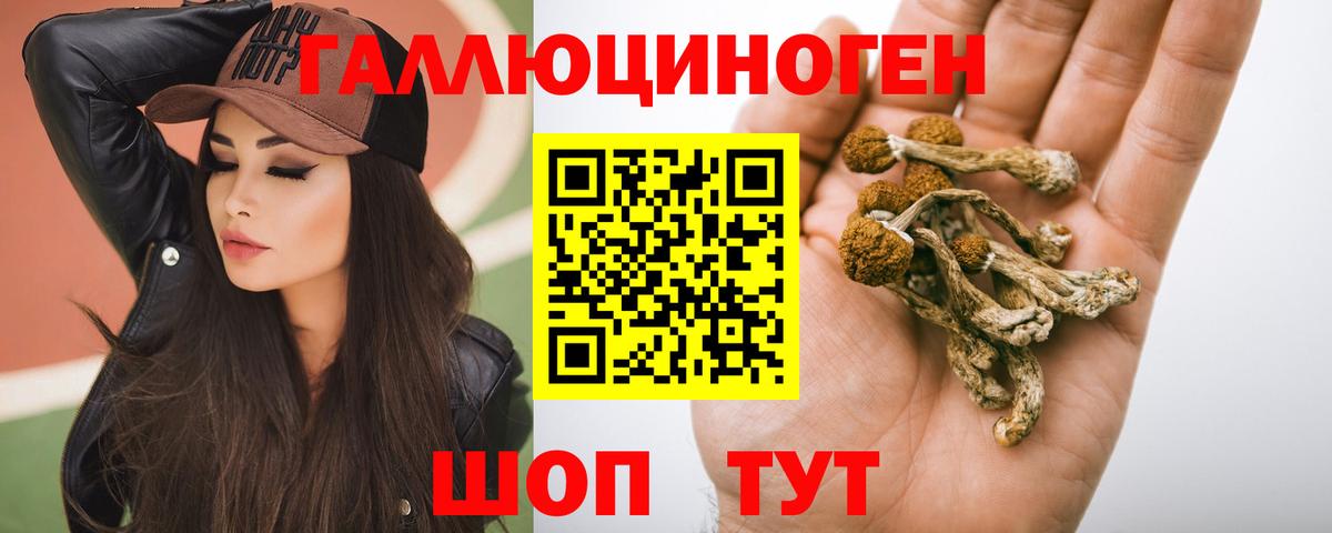 Галлюциногенные грибы GOLDEN TEACHER  где найти   Калуга  Вход с VPN 